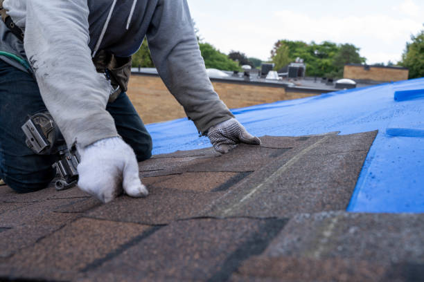 Best Metal Roofing Contractor  in Franklin, MI