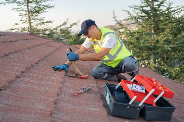 Roof Gutter Cleaning in Franklin, MI